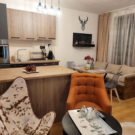 Bh And Semiramida Ski Apartment ボロヴェッツ エクステリア 写真